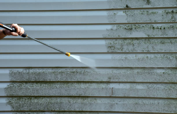 Trusted Quail Creek, TX Pressure washing Experts